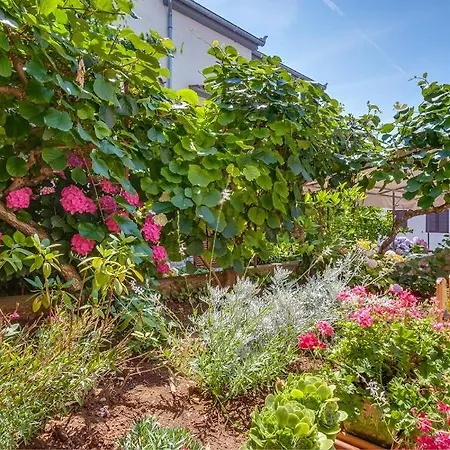 דירה Milena - Beachside In Poljana With Parking